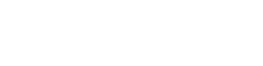 ONEXOX Logo